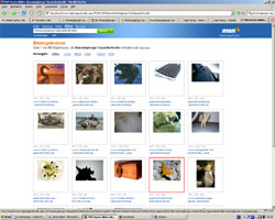 MSN-Bildersuche Hommingberger Gepardenforelle